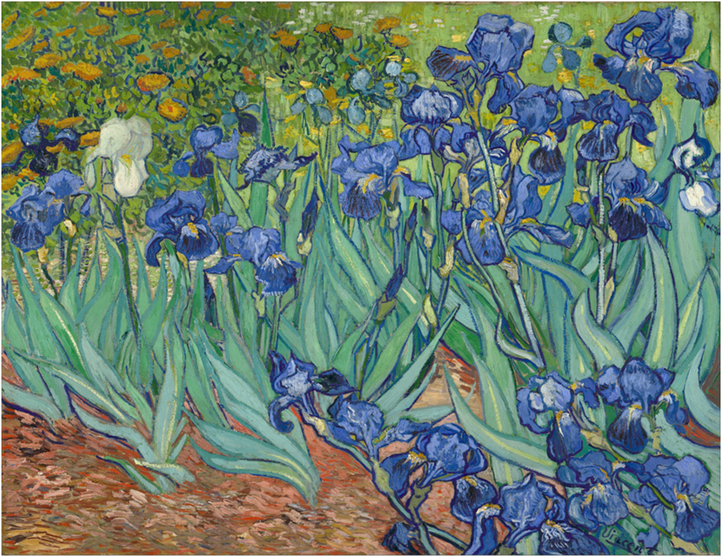 

Картина на холсте с подрамником ХитАрт Нарисованные ирисы 40x31 см, 3178