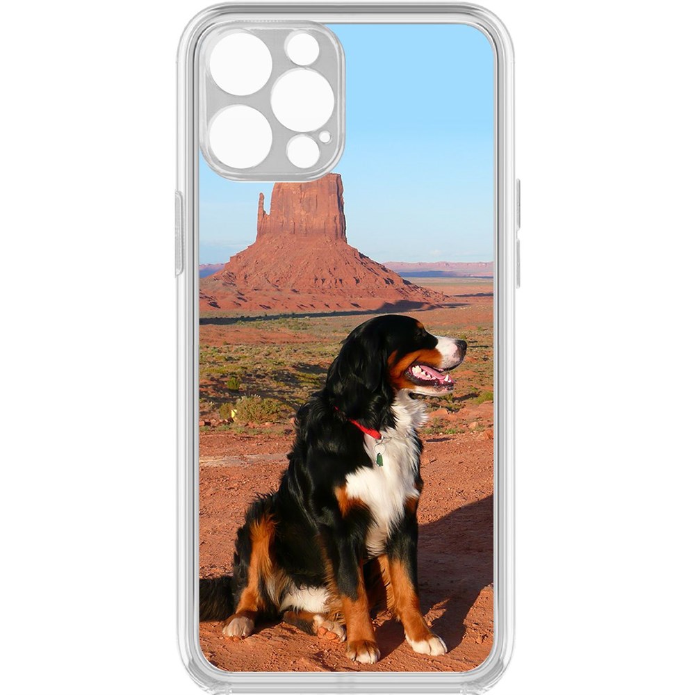 

Чехол-накладка Krutoff Clear Case Бернская овчарка для iPhone 12 Pro с защитой камеры, Прозрачный