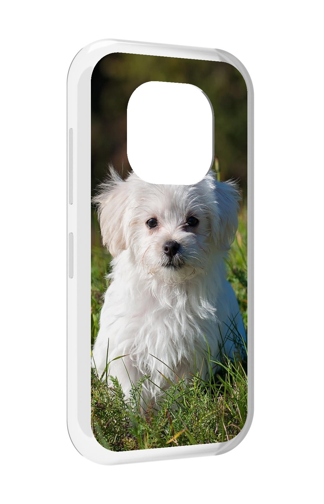 

Чехол MyPads мальтииская-болонка для Doogee V20, Прозрачный, Tocco