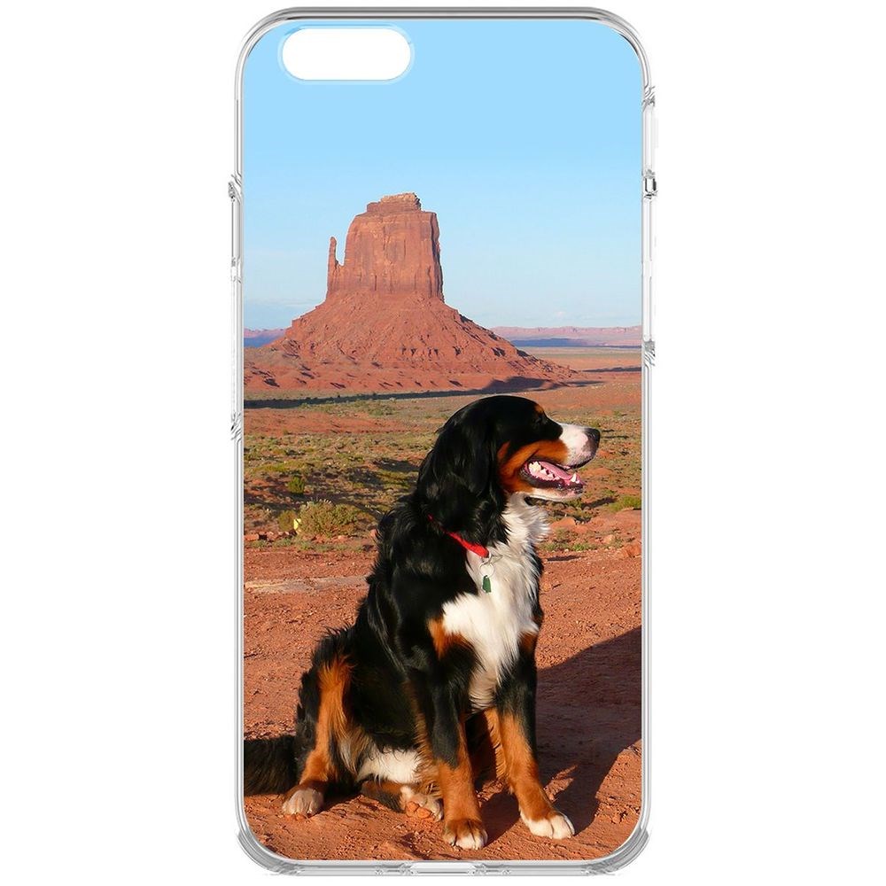 Чехол-накладка Krutoff Clear Case Бернская овчарка для iPhone 6