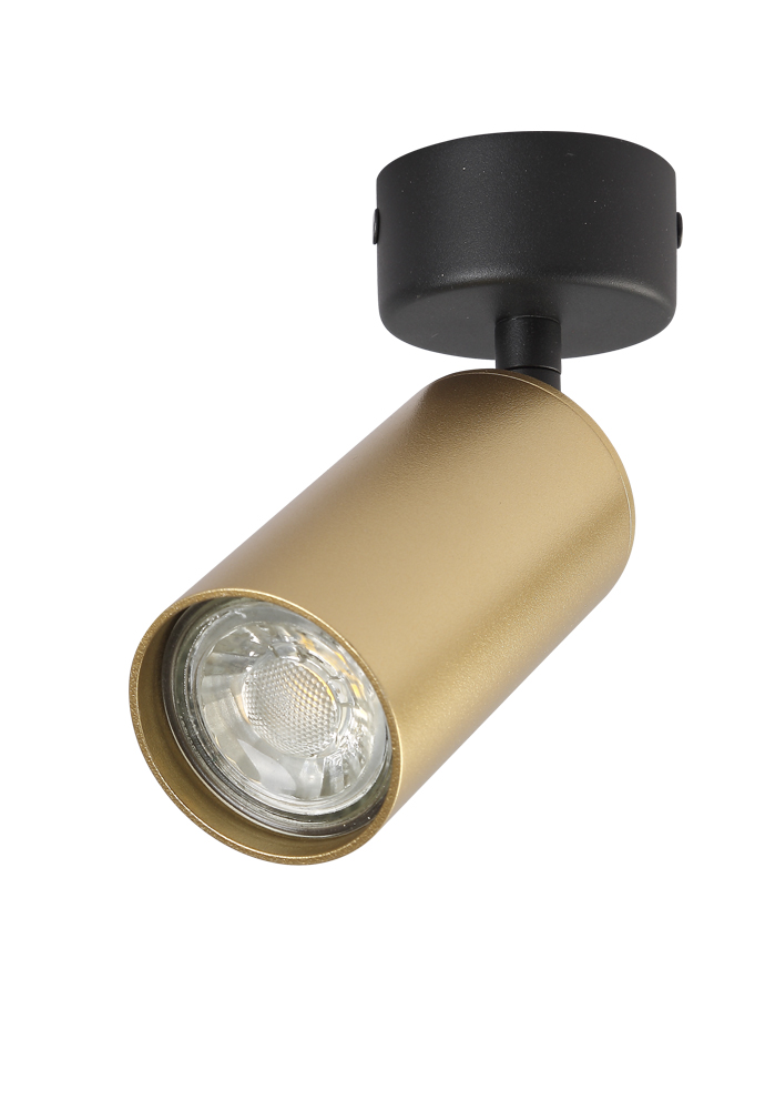 

Crystal Lux CLT 015 CLT 015CW1R BL-GO, CLT 015CW1R BL-GO