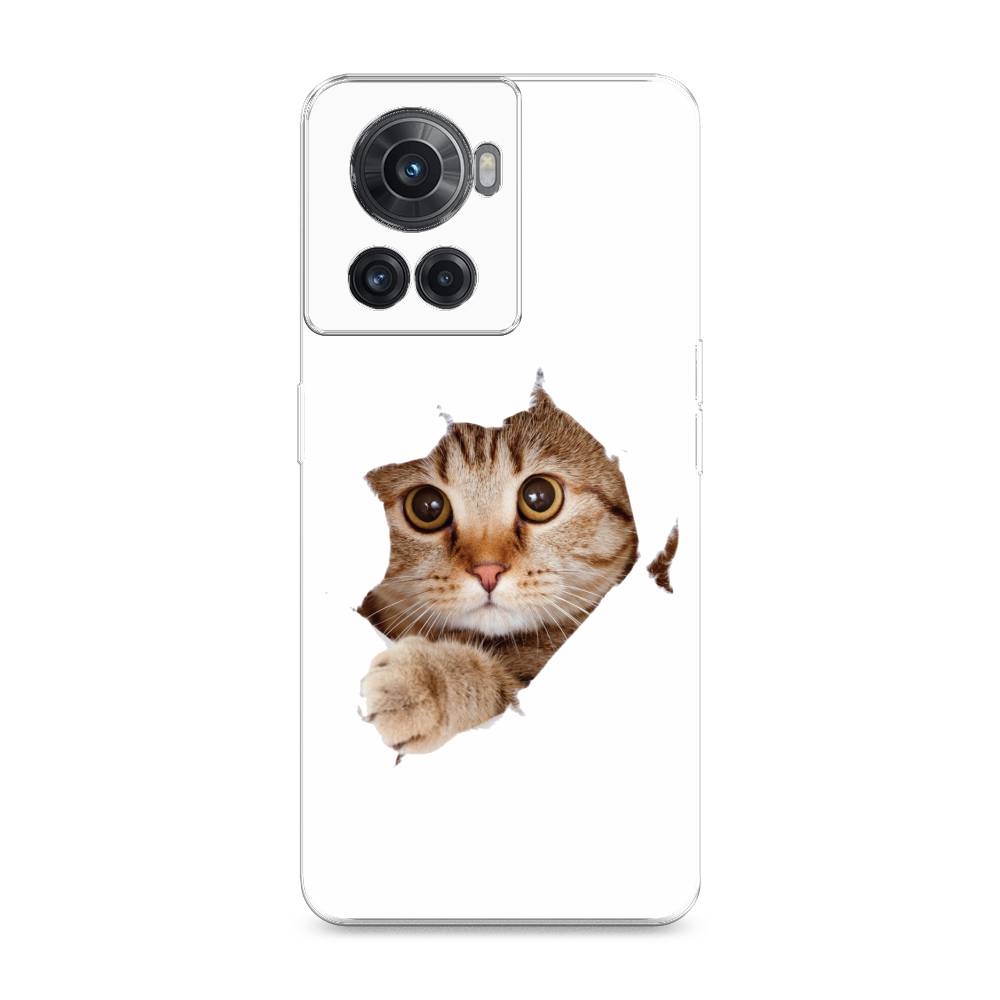 

Чехол на OnePlus 10R "Кот и бумага", Белый;коричневый, 153050-1