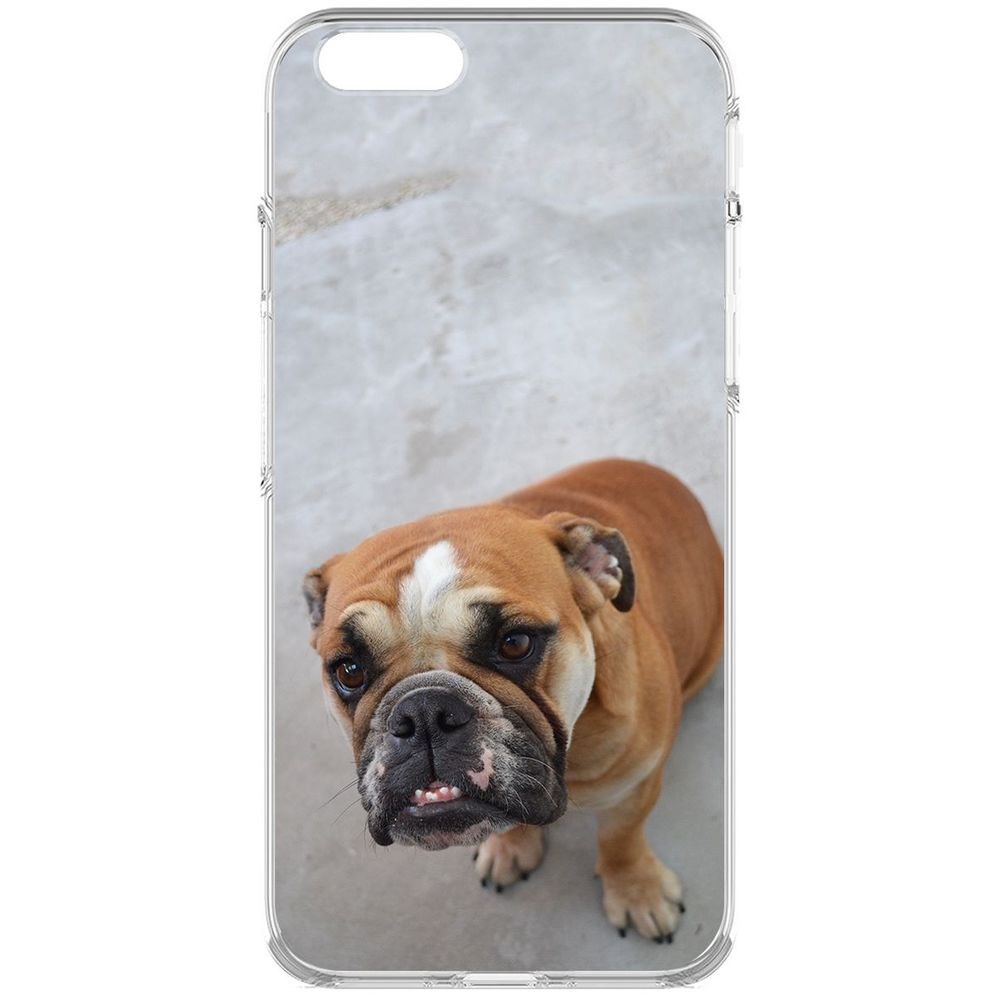 

Чехол-накладка Krutoff Clear Case Английский бульдог для iPhone 6S, Прозрачный