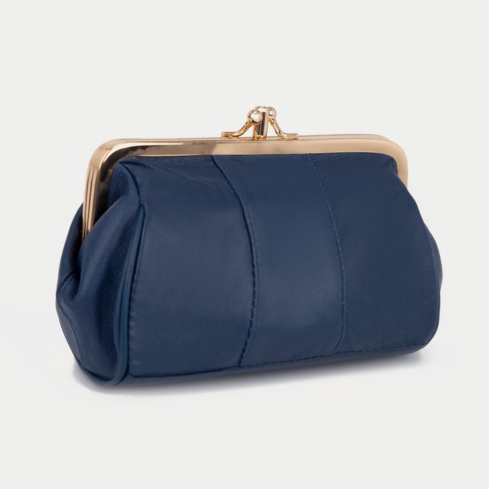 

Косметичка женская NoBrand 9291154, синий, 9291154