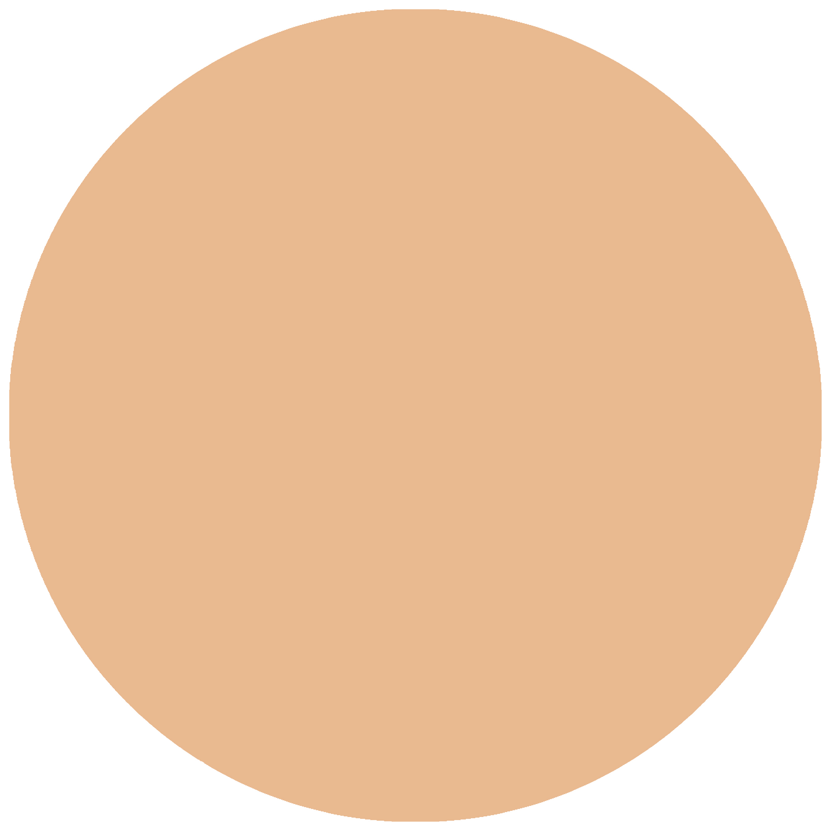 Грим кремообразный на жировой основе в запасном блоке/Supracolor Refill 4 мл. (Цв: FS31)