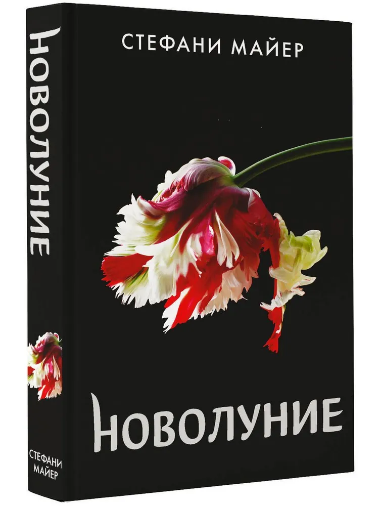 

Новолуние (новое оформление)