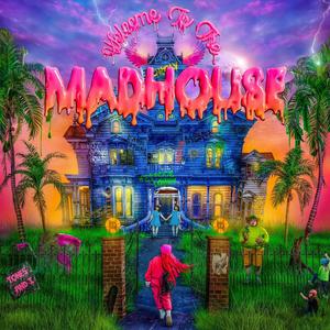 

Tones And I - Welcome To The Madhouse, 1 CD
