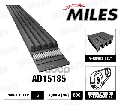 

Замена На 5pk880 Ремень Поликлиновой 5pk880 Ad15185 Miles арт. AD15185, AD15185