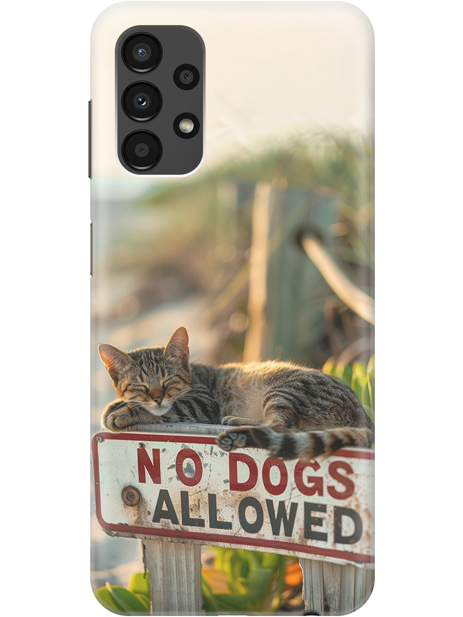 

Силиконовый чехол на Samsung Galaxy A13 4G с принтом "Собакам вход запрещен!", Прозрачный;белый;зеленый, 740132711