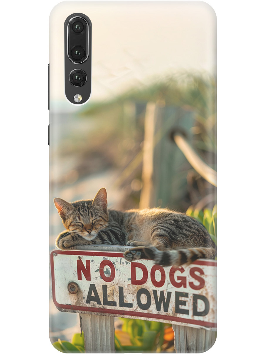 

Силиконовый чехол на Huawei P20 Pro с принтом "Собакам вход запрещен!", Прозрачный;белый;зеленый, 717872311