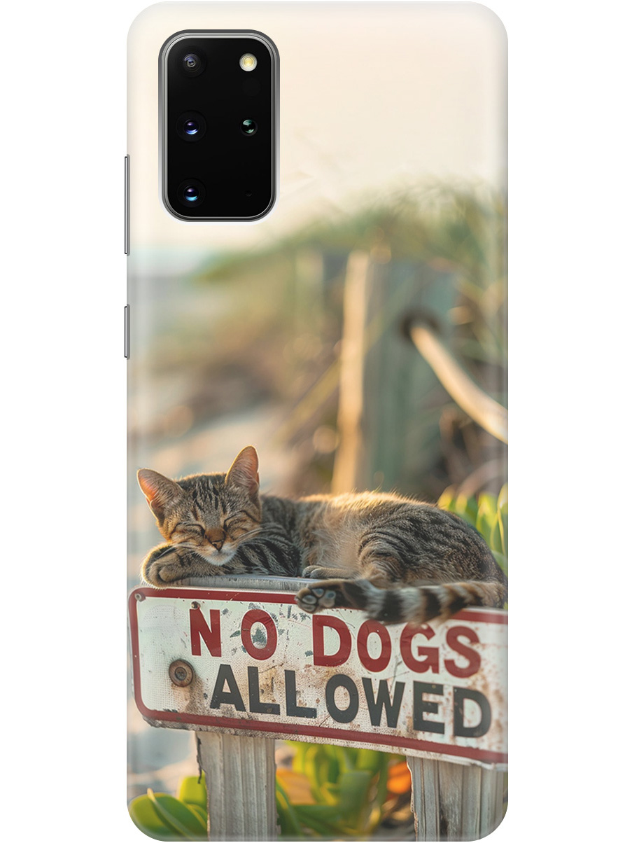 

Силиконовый чехол на Samsung Galaxy S20+ с принтом "Собакам вход запрещен!", Прозрачный;белый;зеленый, 722628511