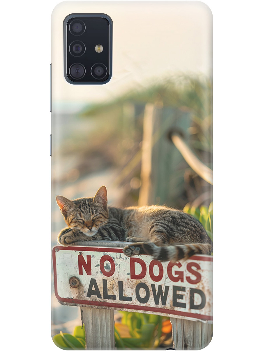 

Силиконовый чехол на Samsung Galaxy A51 с принтом "Собакам вход запрещен!", Прозрачный;белый;зеленый, 722409111
