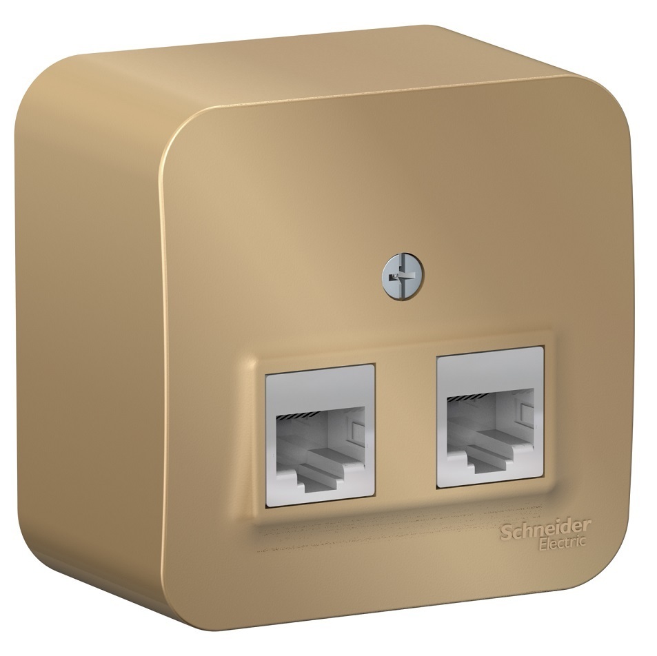

Розетка Systeme Electric BLNIA045454шт, Серый