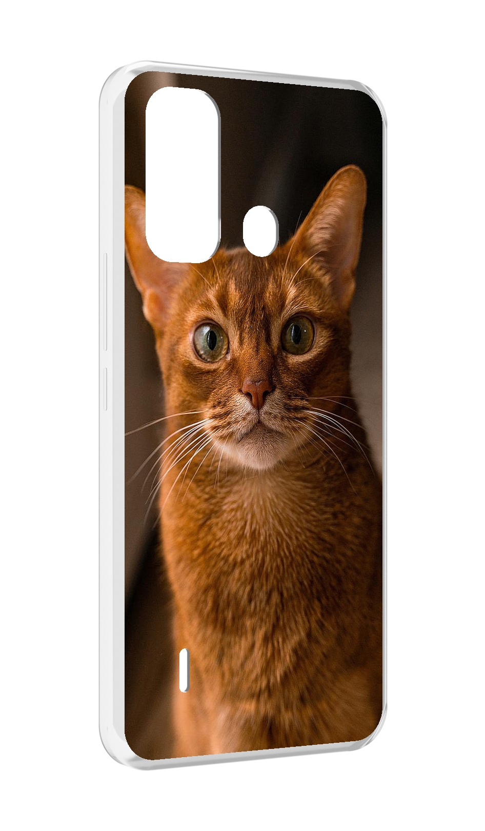

Чехол MyPads порода кошки абисинская для ITEL A49 / A58 / A58 Pro, Прозрачный, Tocco