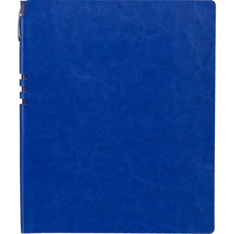 

Бизнес-тетрадь Attache Light Book А4 96л,клетк,цв.срез,кожз.синий юта+ручка