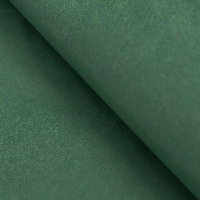 Бумага упаковочная тишью, чёрно-зелёный, 50 смx66 см 10 шт