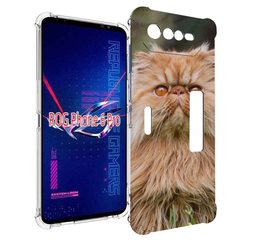 Чехол MyPads кошка персидская для Asus ROG Phone 6 Pro