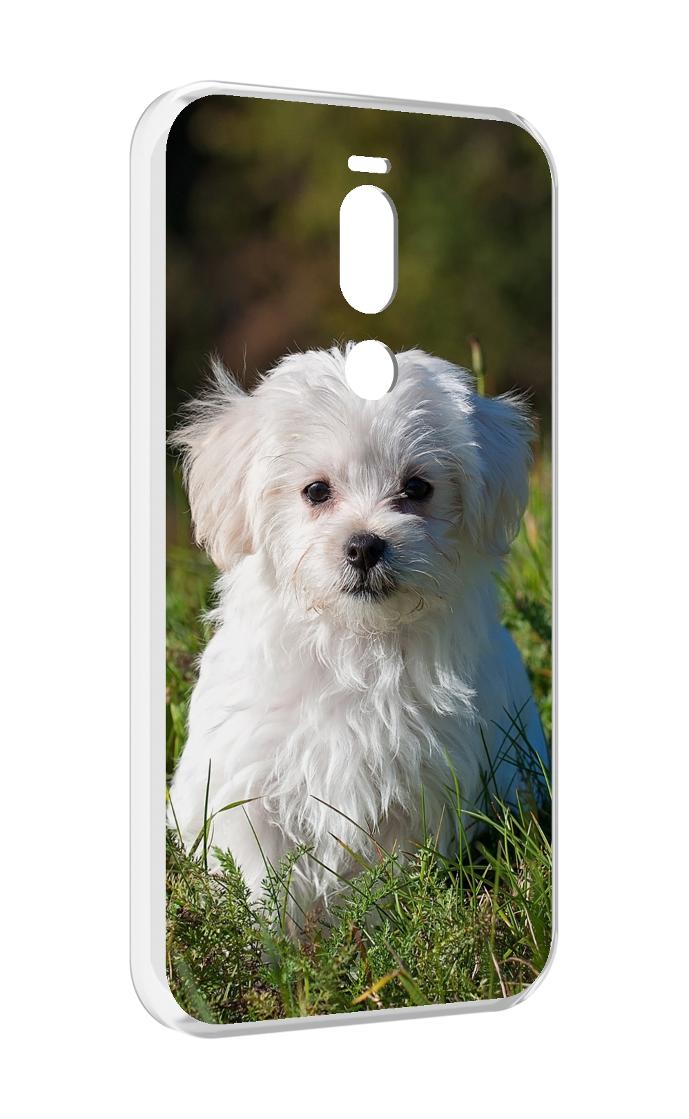 

Чехол Mypads МальтииСкая-Болонка Для Meizu X8, Прозрачный, Tocco