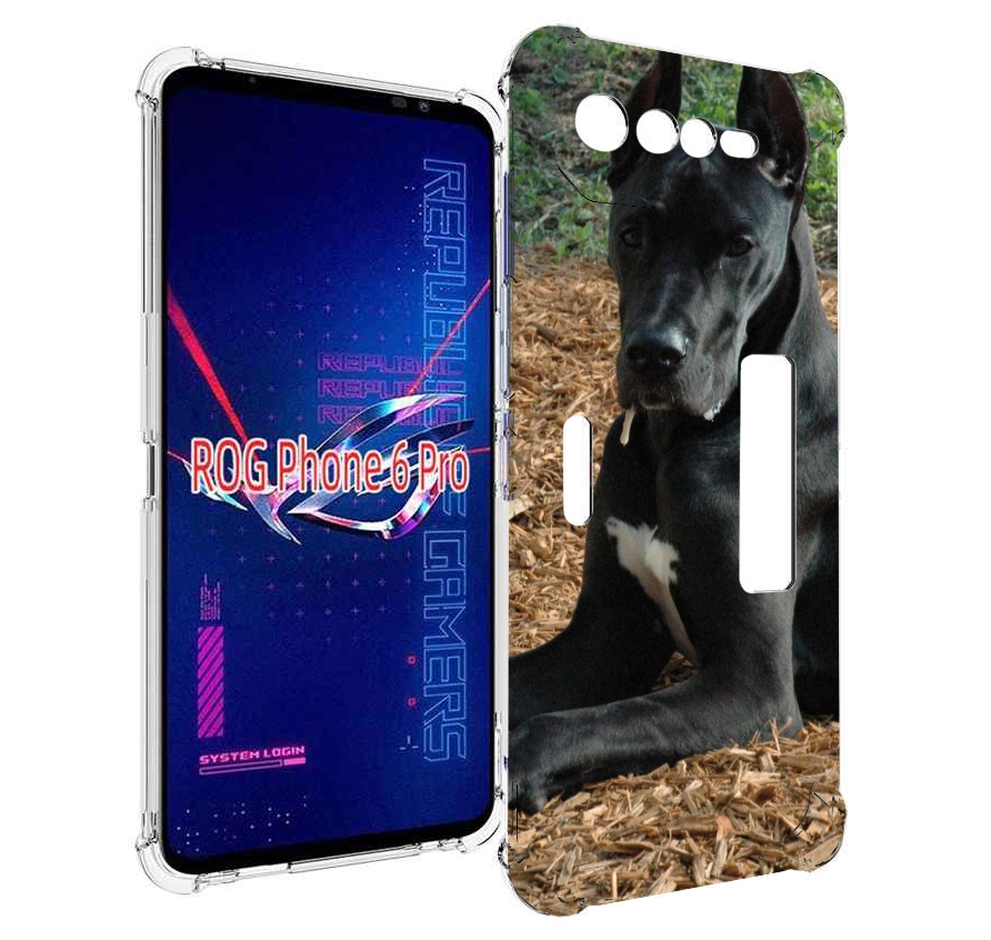 

Чехол MyPads немецкии дог для Asus ROG Phone 6 Pro, Прозрачный, Tocco