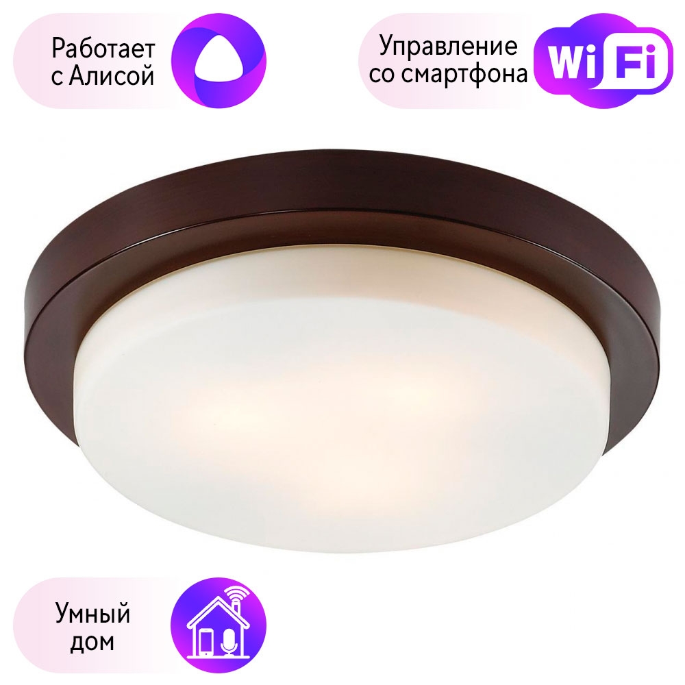 

2744/3C-A Настенно-потолочный влагозащищенный светильник Odeon Light Holger с поддержкой А