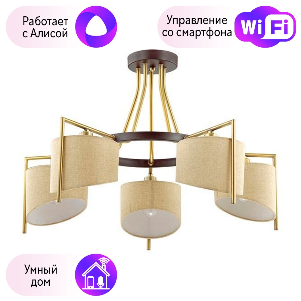 

Потолочная люстра Combo Lustr 3750/5C-A Lumion Karen с поддержкой Алиса