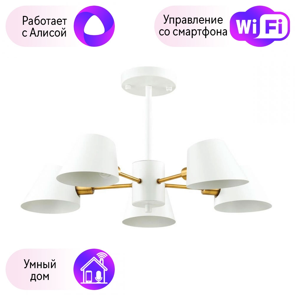 

Потолочная люстра Combo Lustr 4465/5C-A Lumion Kenia с поддержкой Алиса