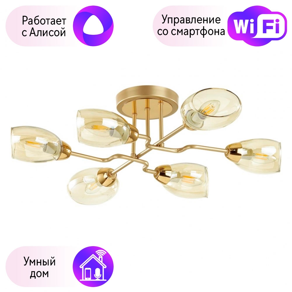 

Люстра потолочная Combo Lustr 4536/6C-A Lumion Lacie с поддержкой Алиса