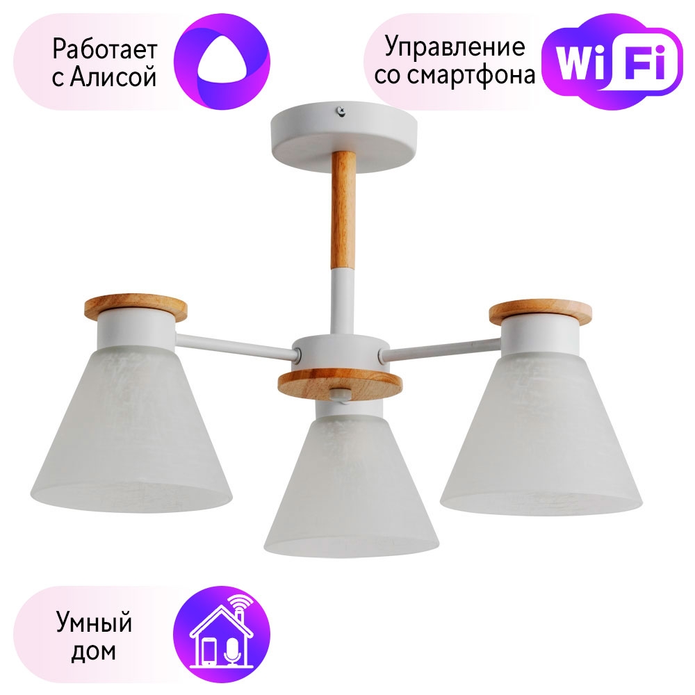 

Потолочная люстра Combo Lustr A1031PL-3WH-A Arte Lamp Tyler с поддержкой Алиса