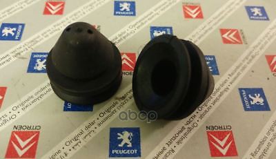 

Фиксатор Крепежный Citroen С4 Peugeot-Citroen арт. 131322