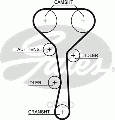 фото Зубчатый ремень привода грм gates 5507xs