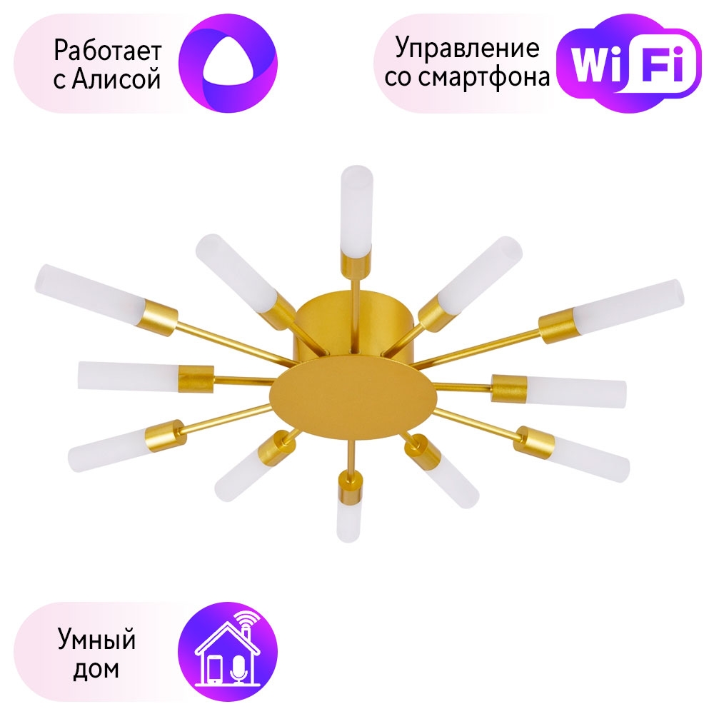 

Потолочная люстра Combo Lustr A1276PL-12GO-A Arte Lamp Maple с поддержкой Алиса