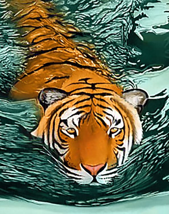 

Алмазная вышивка Гранни Тигровые воды, 38x48 см, Тигровые воды