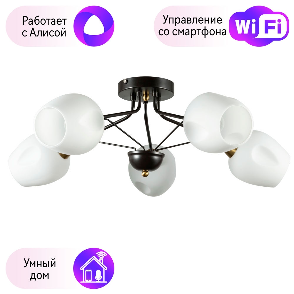 

Потолочная люстра Combo Lustr A2706PL-5CK-A Arte lamp Brighton с поддержкой Алиса