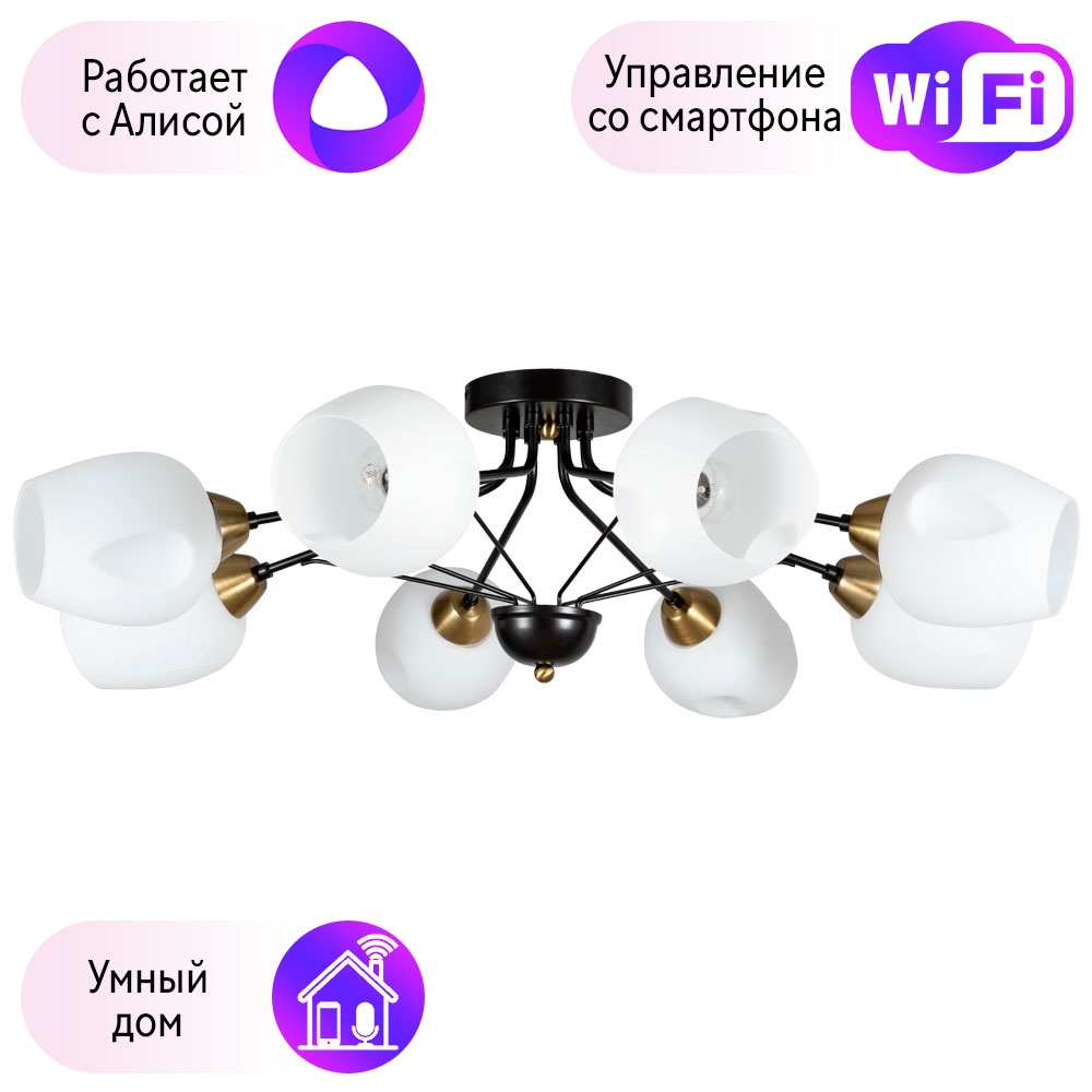 

Потолочная люстра Combo Lustr A2706PL-8CK-A Arte lamp Brighton с поддержкой Алиса