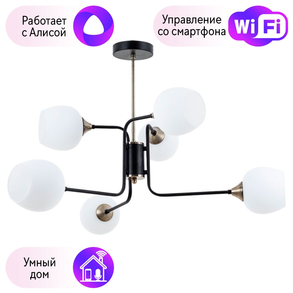 

Люстра на штанге Combo Lustr A3564PL-6BK-A Arte Lamp Skat с поддержкой Алиса