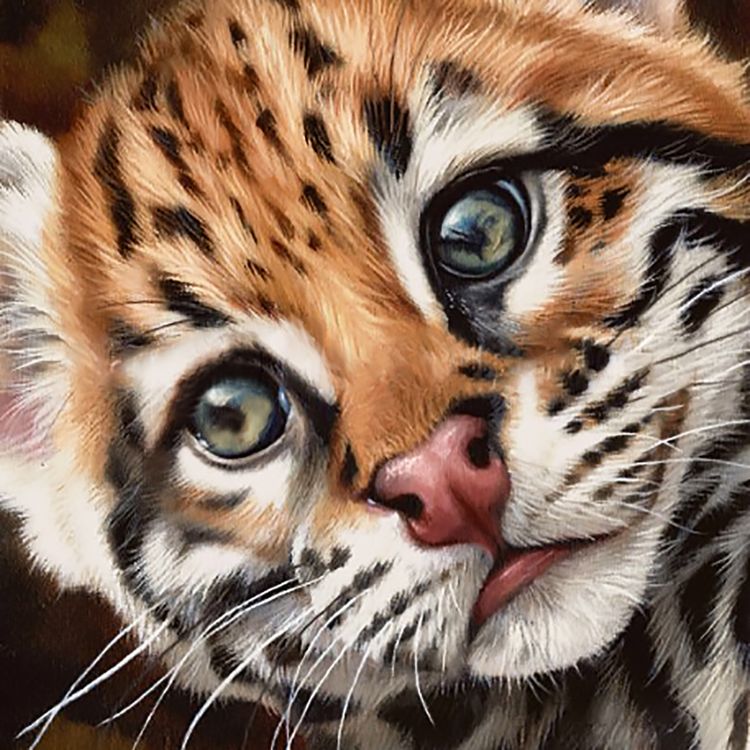 

Алмазная вышивка Гранни Котенок Оцелот, 38x38 см, Котенок Оцелот