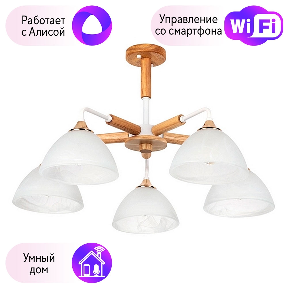 

Потолочная люстра Combo Lustr A5032PL-5BR-A на штанге Matthew Arte Lamp с поддержкой Алиса