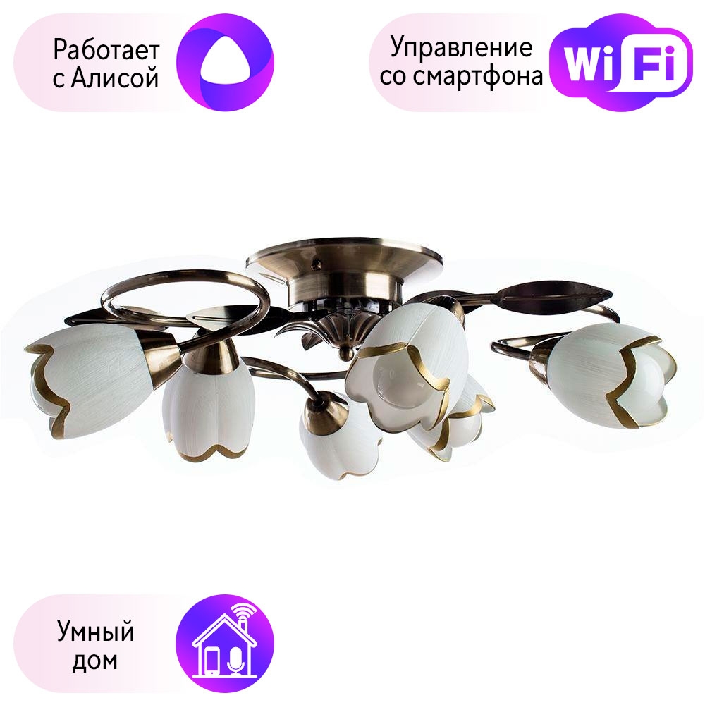 

Потолочная люстра Combo Lustr A6061PL-6AB-A Arte Lamp 4 с поддержкой Алиса