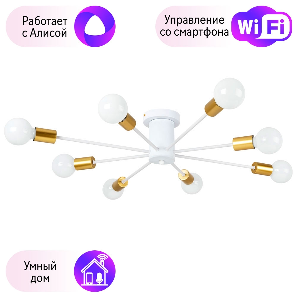 

Потолочная люстра Combo Lustr A6702PL-8WH-A Arte Lamp Alastor с поддержкой Алиса