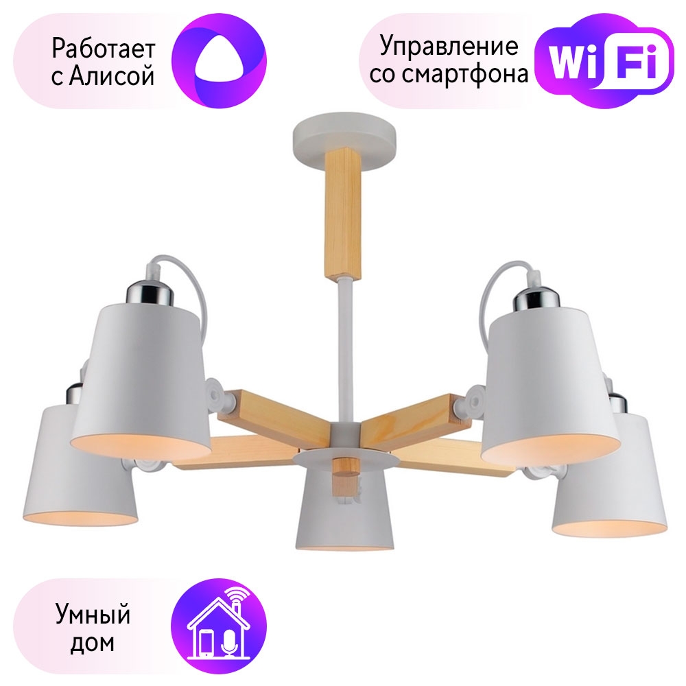 

Потолочная люстра Combo Lustr A7141PL-5WH-A Arte Lamp с поддержкой Алиса