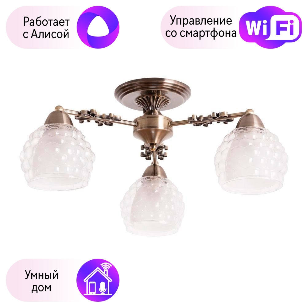 фото A7695pl-3ab-a люстра потолочная arte lamp malina с поддержкой алиса combo lustr