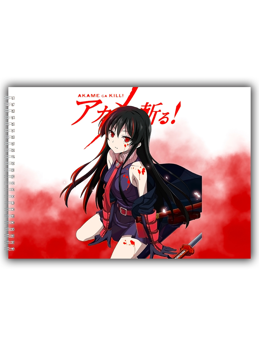 

Альбом для рисования DRABS Akame ga Kill
