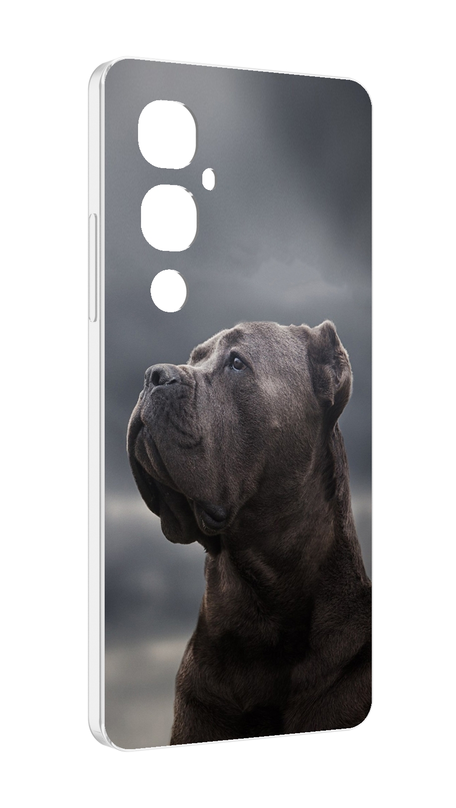 

Чехол MyPads кане корсо для Tecno Pova 4 Pro, Прозрачный, Tocco