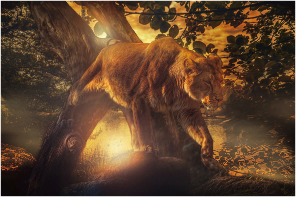 

Картина на холсте с подрамником ХитАрт Молодой лев 100x68 см, 3316