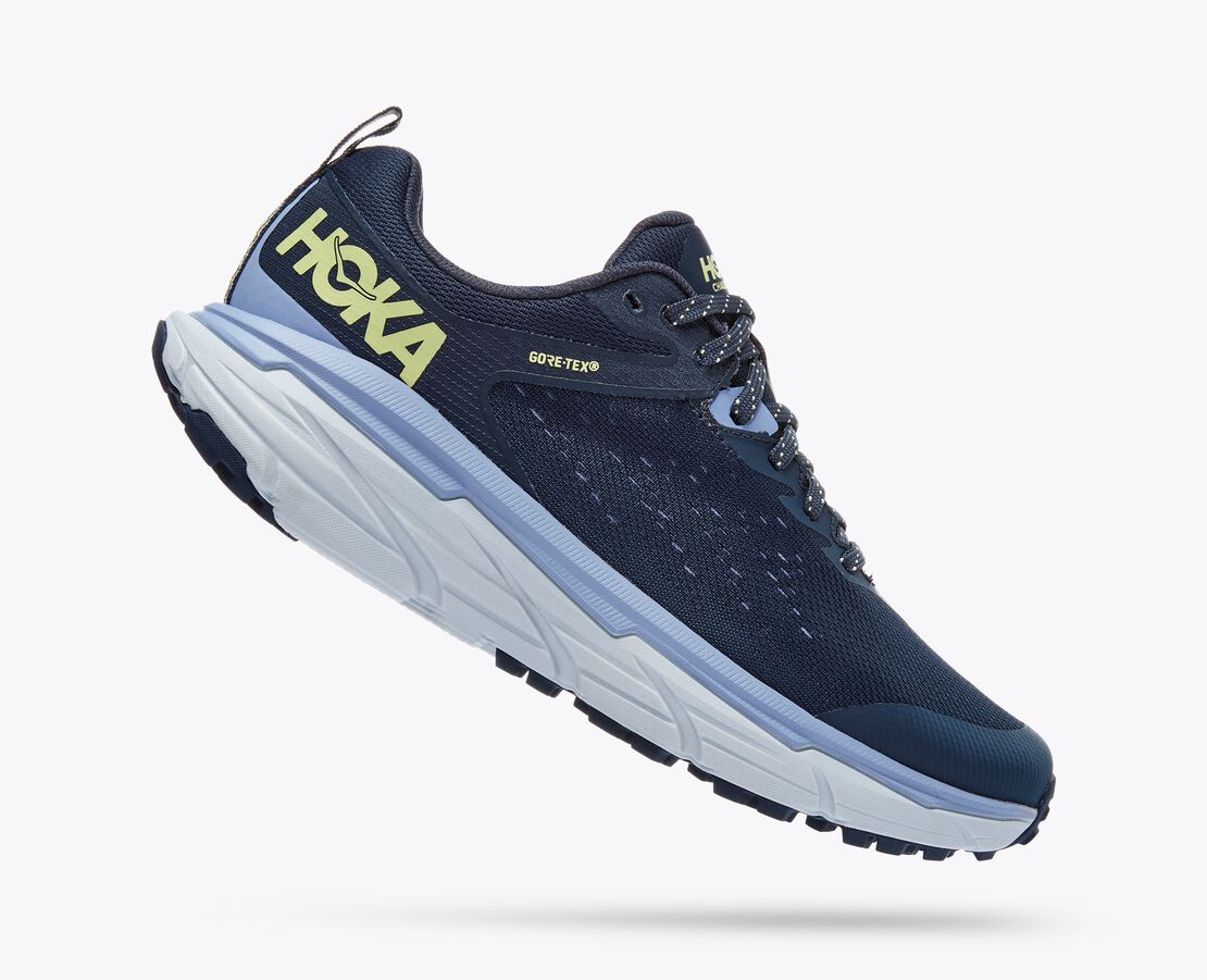 Спортивные кроссовки женские Hoka CHALLENGER ATR 6 GTX синие 8.5 US