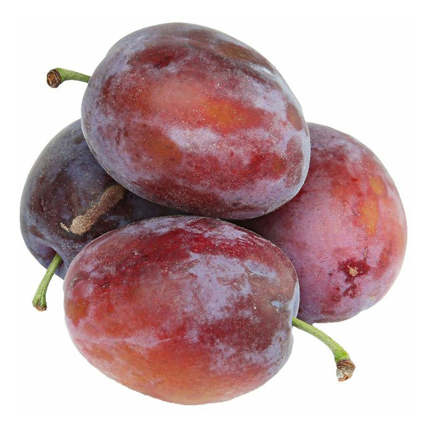 

Сливы Испанка
