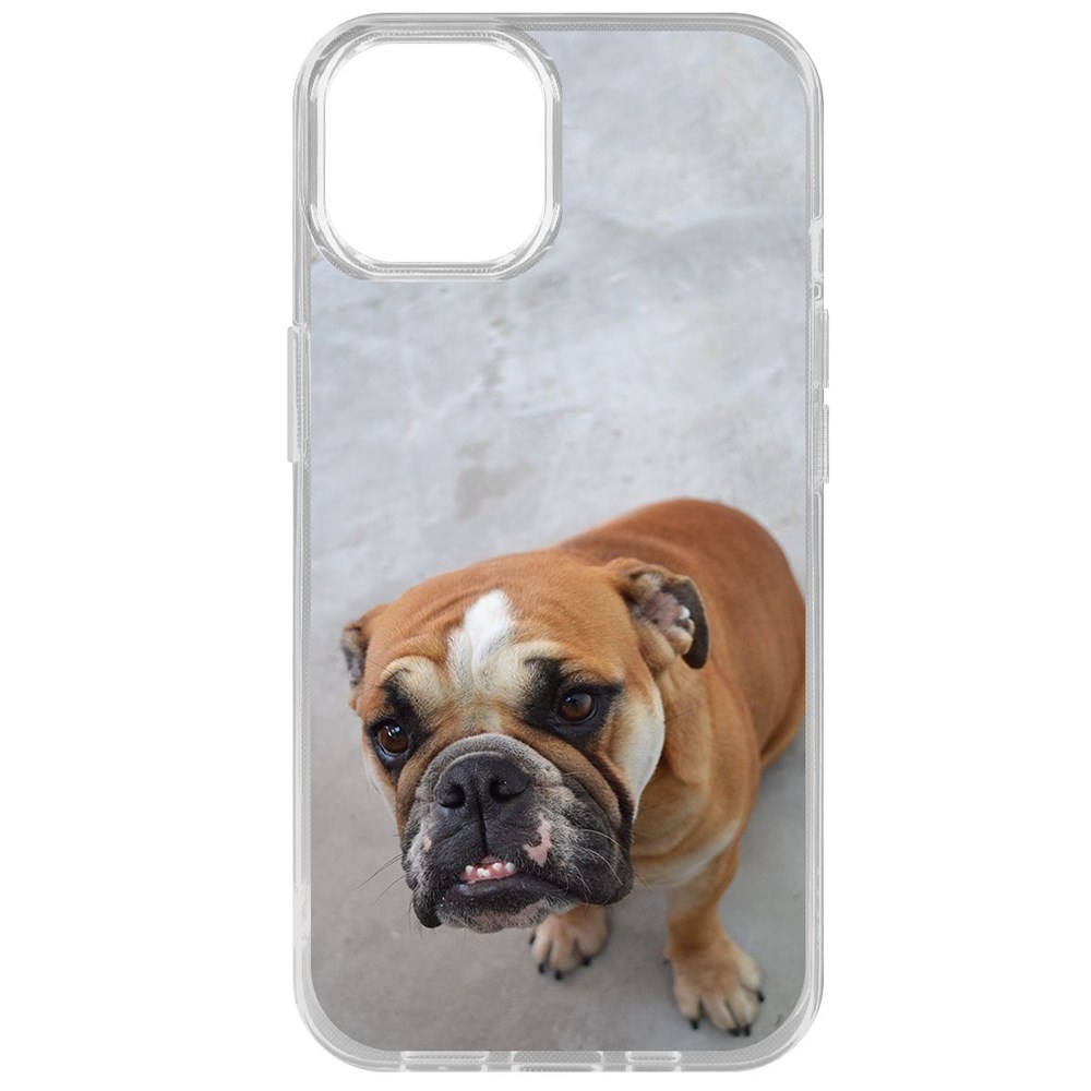 

Чехол-накладка Krutoff Clear Case Английский бульдог для iPhone 14, Прозрачный