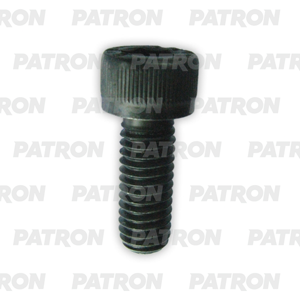 

PATRON P37-2642T Болт металлический болт имбус M6x16 10шт