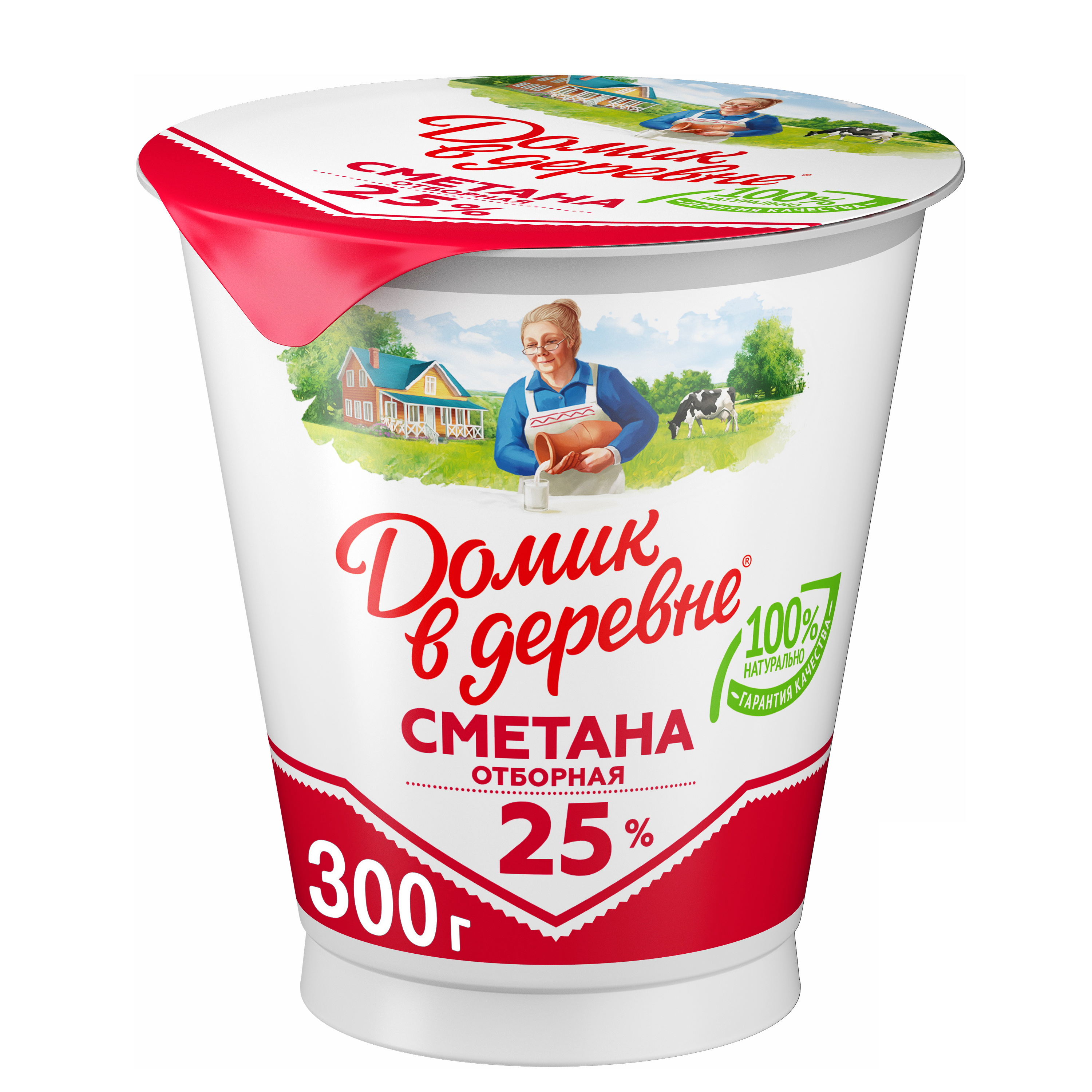 Сметана Домик в Деревне 25% БЗМЖ 300 г