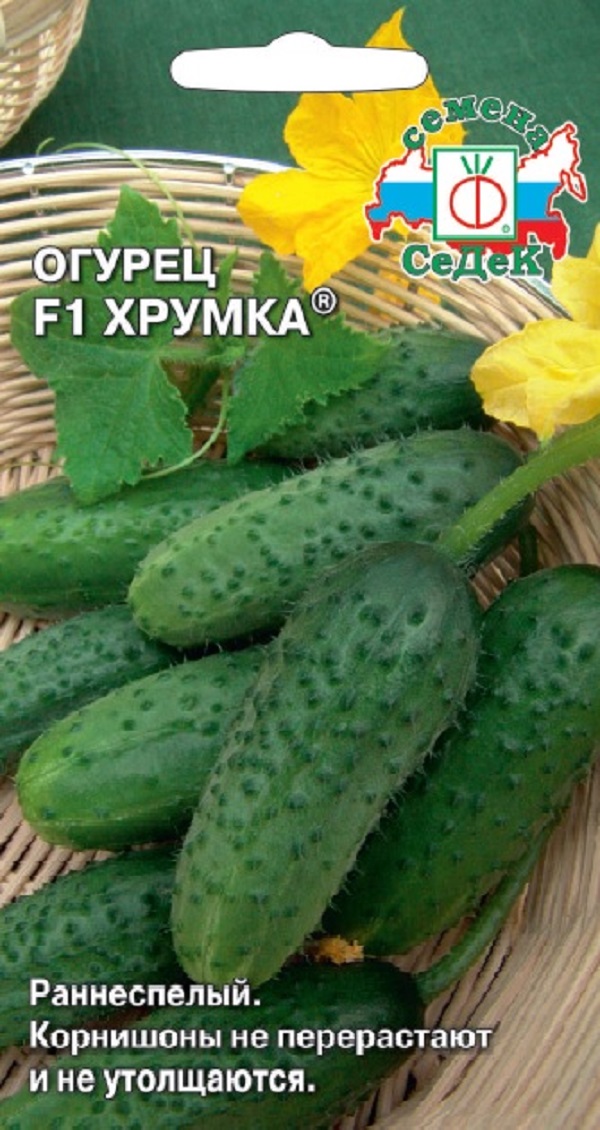 

Семена огурец Хрумка F1 СеДеК 63622 1 уп., Огурцы Хрумка F1 (серия 2+1) (Седек)
